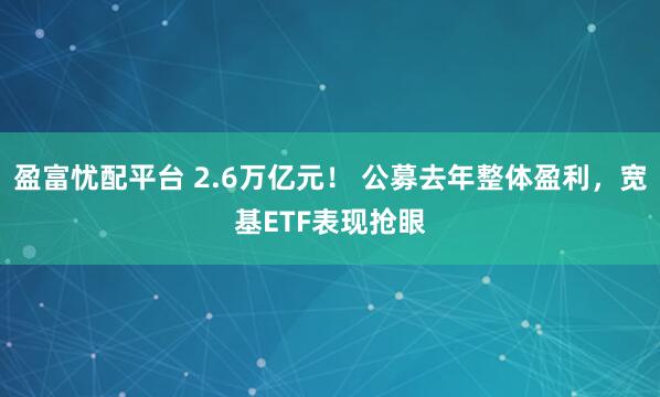 盈富忧配平台 2.6万亿元！ 公募去年整体盈利，宽基ETF表现抢眼