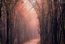 股票杠杆门槛:市场杠杆-突然换帅！“世界超市”新掌门浮现 前董事长另有重任